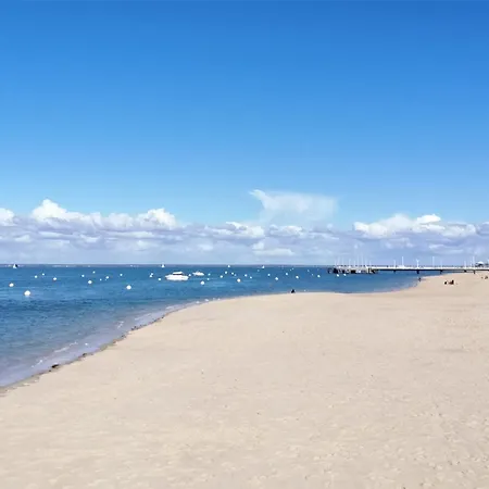 Apartamento T3 Au Centre D'arcachon - 70 M², Terrasse, Proche Plages Et Commerces, Wifi - Fr-1-420-151 *