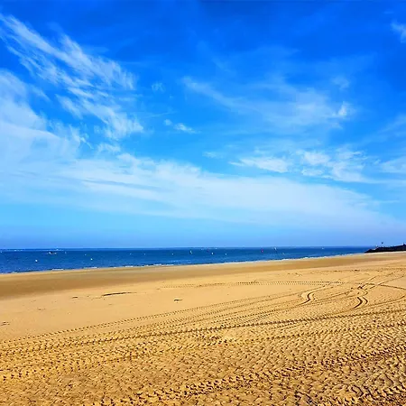 T3 Au Centre D'arcachon - 70 M², Terrasse, Proche Plages Et Commerces, Wifi - Fr-1-420-151 アパート