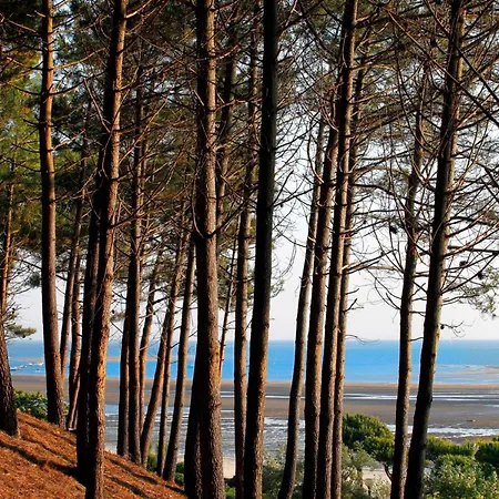 T3 Au Centre D'arcachon - 70 M², Terrasse, Proche Plages Et Commerces, Wifi - Fr-1-420-151 *