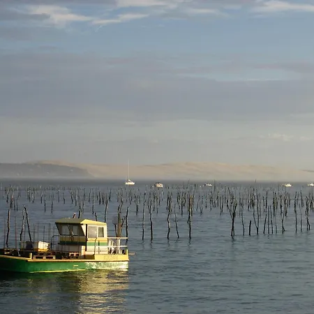 T3 Au Centre D'arcachon - 70 M², Terrasse, Proche Plages Et Commerces, Wifi - Fr-1-420-151 Arcachon