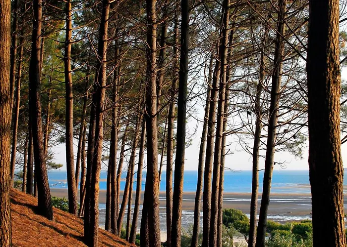 T3 Au Centre D'arcachon - 70 M², Terrasse, Proche Plages Et Commerces, Wifi - Fr-1-420-151 *