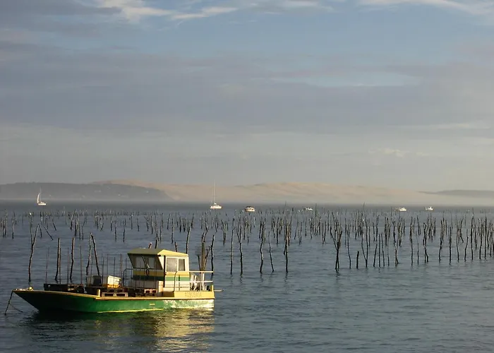 T3 Au Centre D'arcachon - 70 M², Terrasse, Proche Plages Et Commerces, Wifi - Fr-1-420-151 דירה *